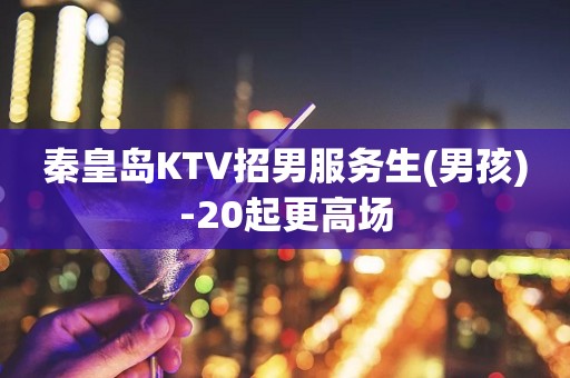 秦皇岛KTV招男服务生(男孩)-20起更高场