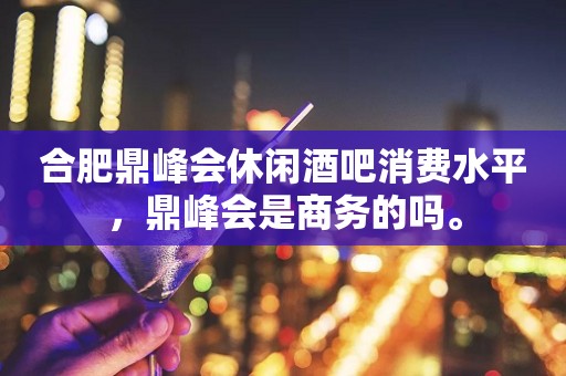 合肥鼎峰会休闲酒吧消费水平，鼎峰会是商务的吗。