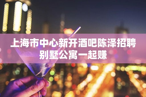 上海市中心新开酒吧陈泽招聘别墅公寓一起赚