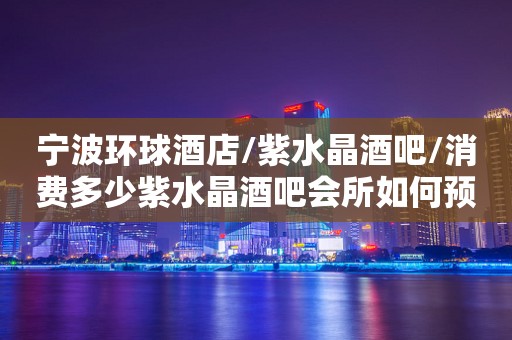 宁波环球酒店/紫水晶酒吧/消费多少紫水晶酒吧会所如何预订