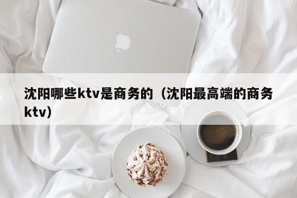 沈阳哪些ktv是商务的（沈阳最高端的商务ktv）