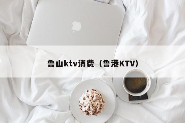 鲁山ktv消费（鲁港KTV）