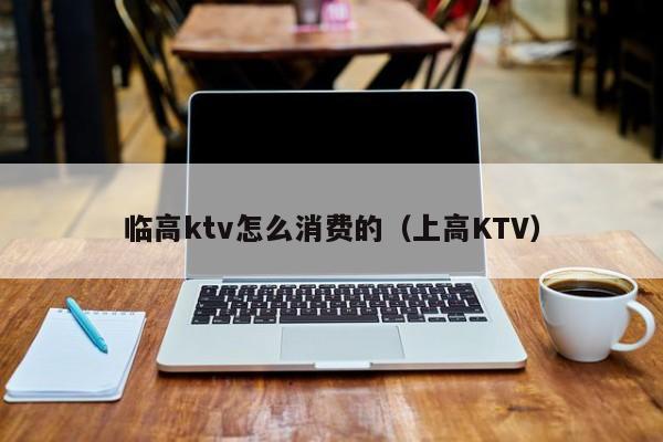 临高ktv怎么消费的（上高KTV）