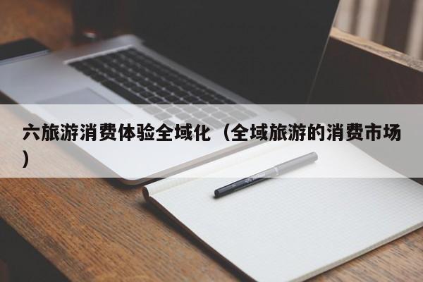 六旅游消费体验全域化（全域旅游的消费市场）