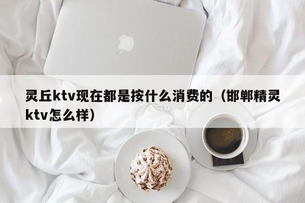 灵丘ktv现在都是按什么消费的（邯郸精灵ktv怎么样）