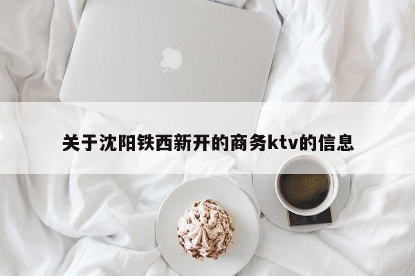 关于沈阳铁西新开的商务ktv的信息
