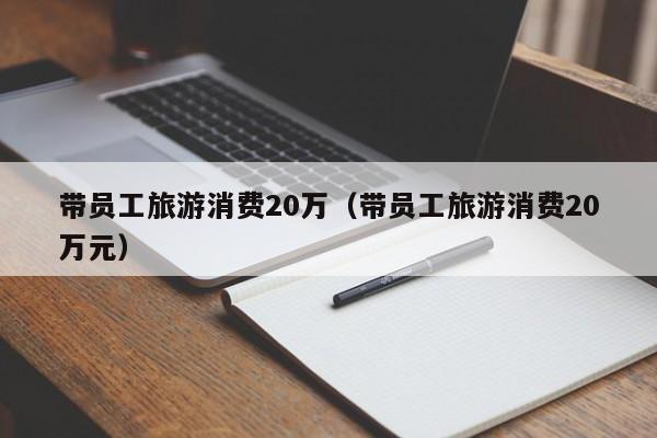 带员工旅游消费20万（带员工旅游消费20万元）