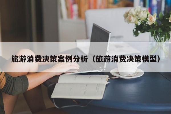 旅游消费决策案例分析（旅游消费决策模型）